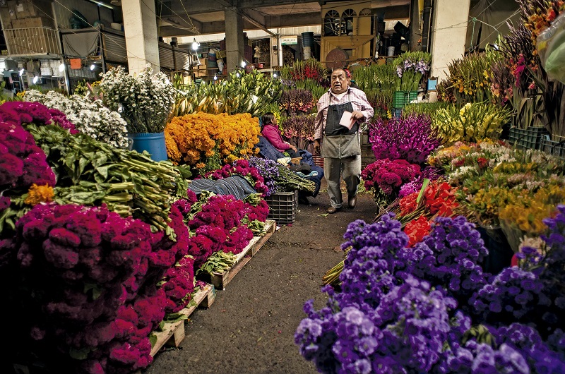 Mercado Jamaica - Habibi World Travel & Tour